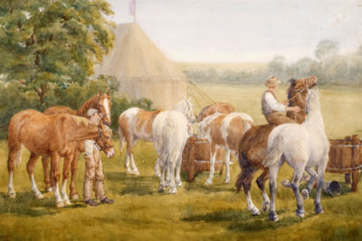 Horses painted by artist Brian Hatton